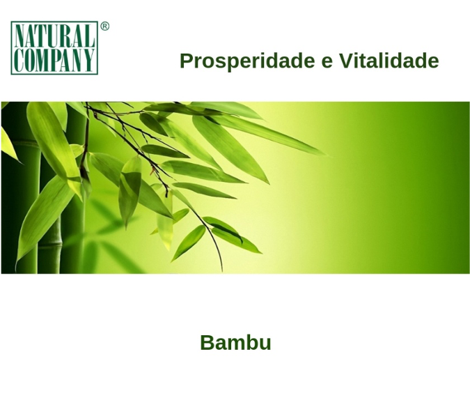 Bambu