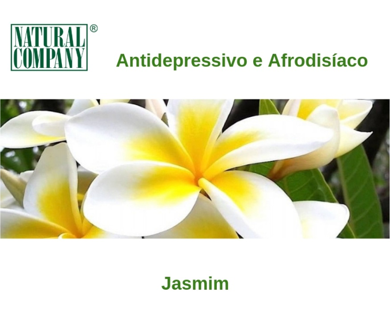 Jasmim