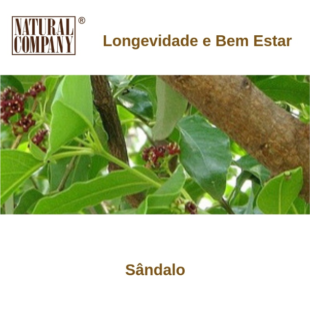 Sândalo